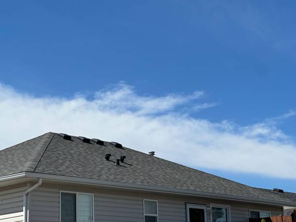 Best Emergency Roof Repair Services  in Young Harris, GA